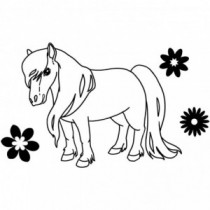 Pony Wandtattoo