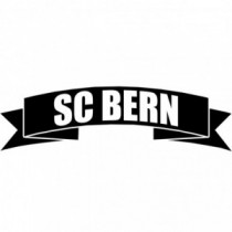 Aufkleber SC Bern V4